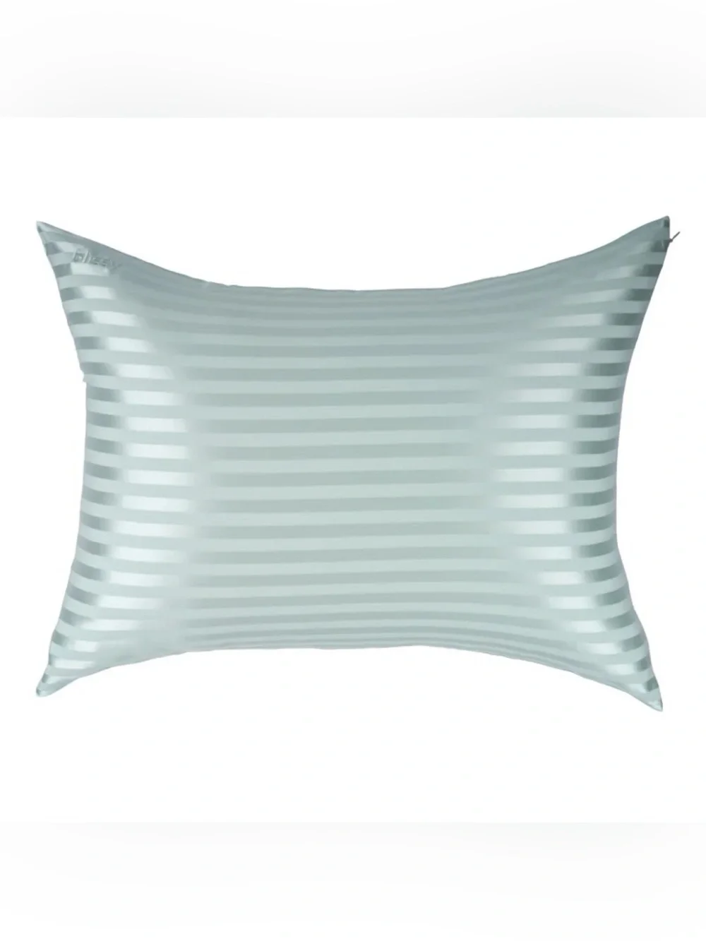 Blissy 100% Silk 22 Momme STANDARD Pillowcase Mint Striped New